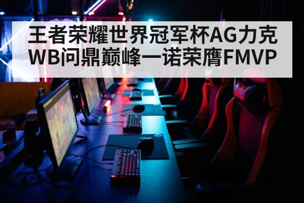 王者荣耀世界冠军杯AG力克WB问鼎巅峰一诺荣膺FMVP